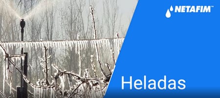 Control de heladas - Entrevista Radio Agricultura