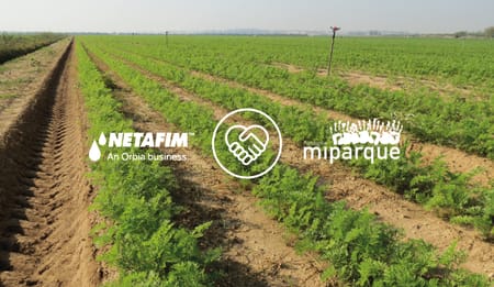 Fundación Mi Parque y Netafim: Nueva alianza para fortalecer la eficiencia hídrica en áreas verdes.