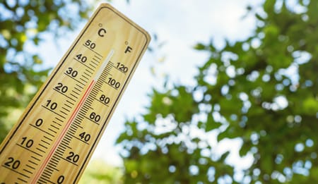 Próximas olas de calor y sus efectos en la agricultura
