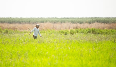 Producción agrícola y uso eficiente del agua para enfrentar el cambio climático
