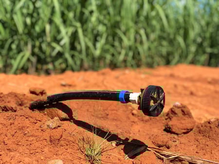 Riego por goteo enterrado