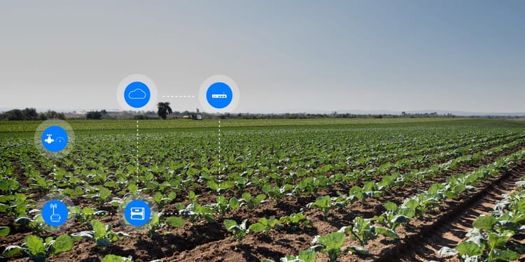 OPTIMIZA LA PRODUCTIVIDAD DE TUS CULTIVOS CON NETBEAT ™