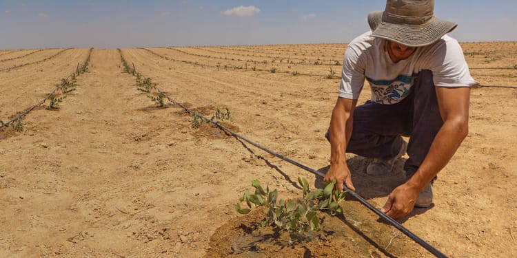 Riego de Precisión - Potencia un ecosistema sustentable de agricultura para asegurar un futuro con alimentos.