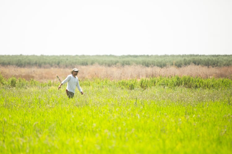 Banner Producción agrícola y uso eficiente del agua para enfrentar el cambio climático
