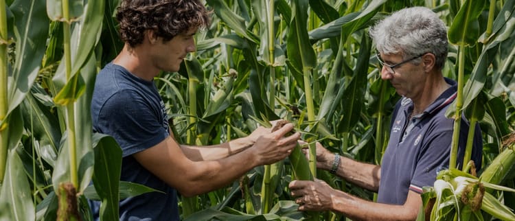 Innovación desarrollada por productores, para productores