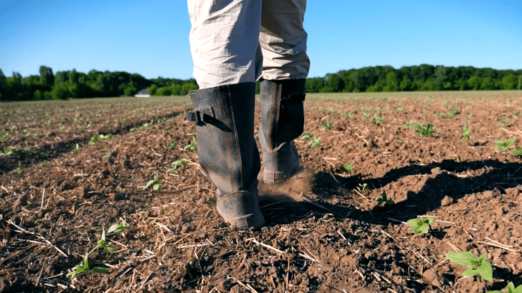 Nueva solución Netafim, Hidro-Sinergia Netafim