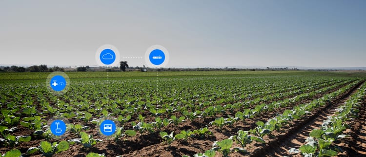 OPTIMIZA LA PRODUCTIVIDAD DE TUS CULTIVOS CON NETBEAT ™