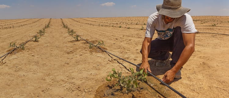Riego de Precisión - Potencia un ecosistema sustentable de agricultura para asegurar un futuro con alimentos.