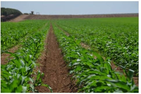 Riego de precisión para campo abierto