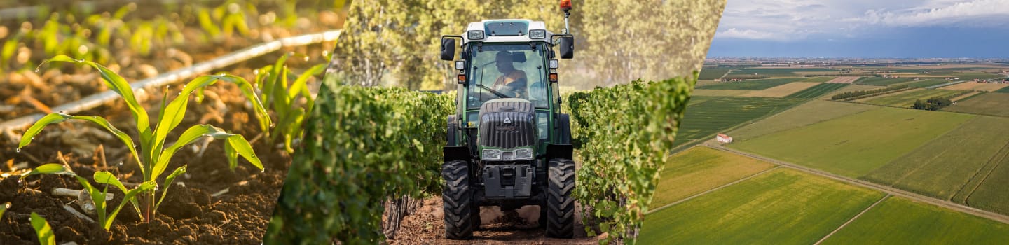Desde las plantas hasta el planeta - todos ganan. Aquí estan los beneficios del riego de precisión:
